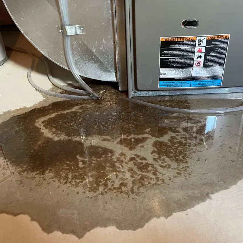 Pipe Burst and Leak Restoration in Choteau, MT